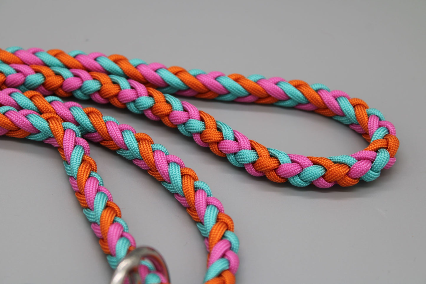 Hundeleine "Midi Bunt"