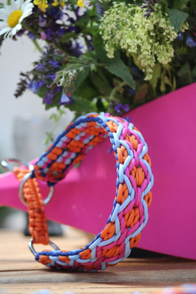 Hundehalsband "Summer Edition"