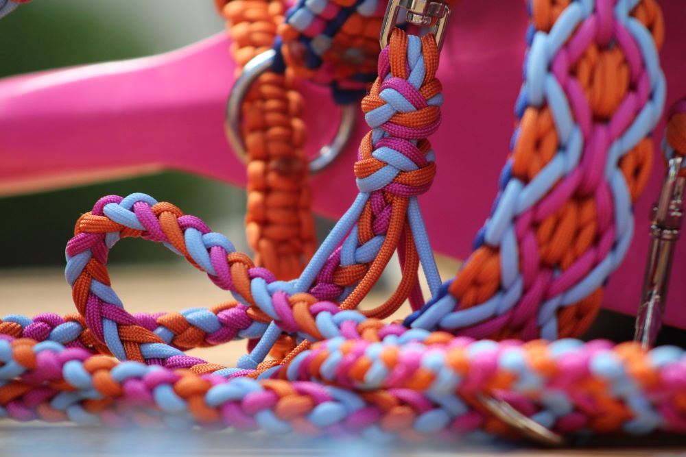 Hundehalsband "Summer Edition"