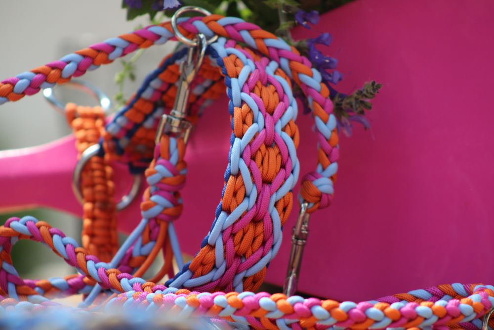 Hundehalsband "Summer Edition"