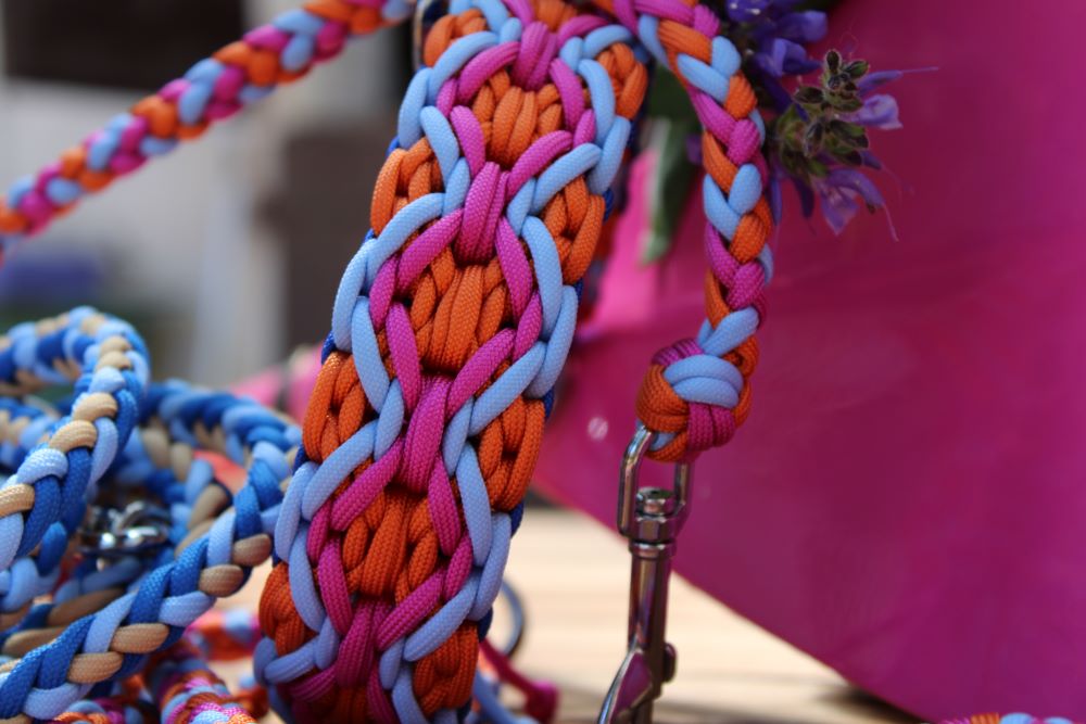 Hundehalsband "Summer Edition"