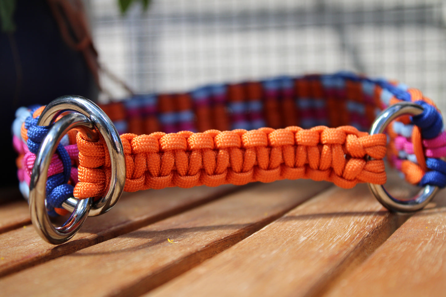 Hundehalsband "Summer Edition"