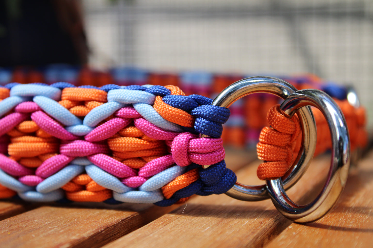 Hundehalsband "Summer Edition"