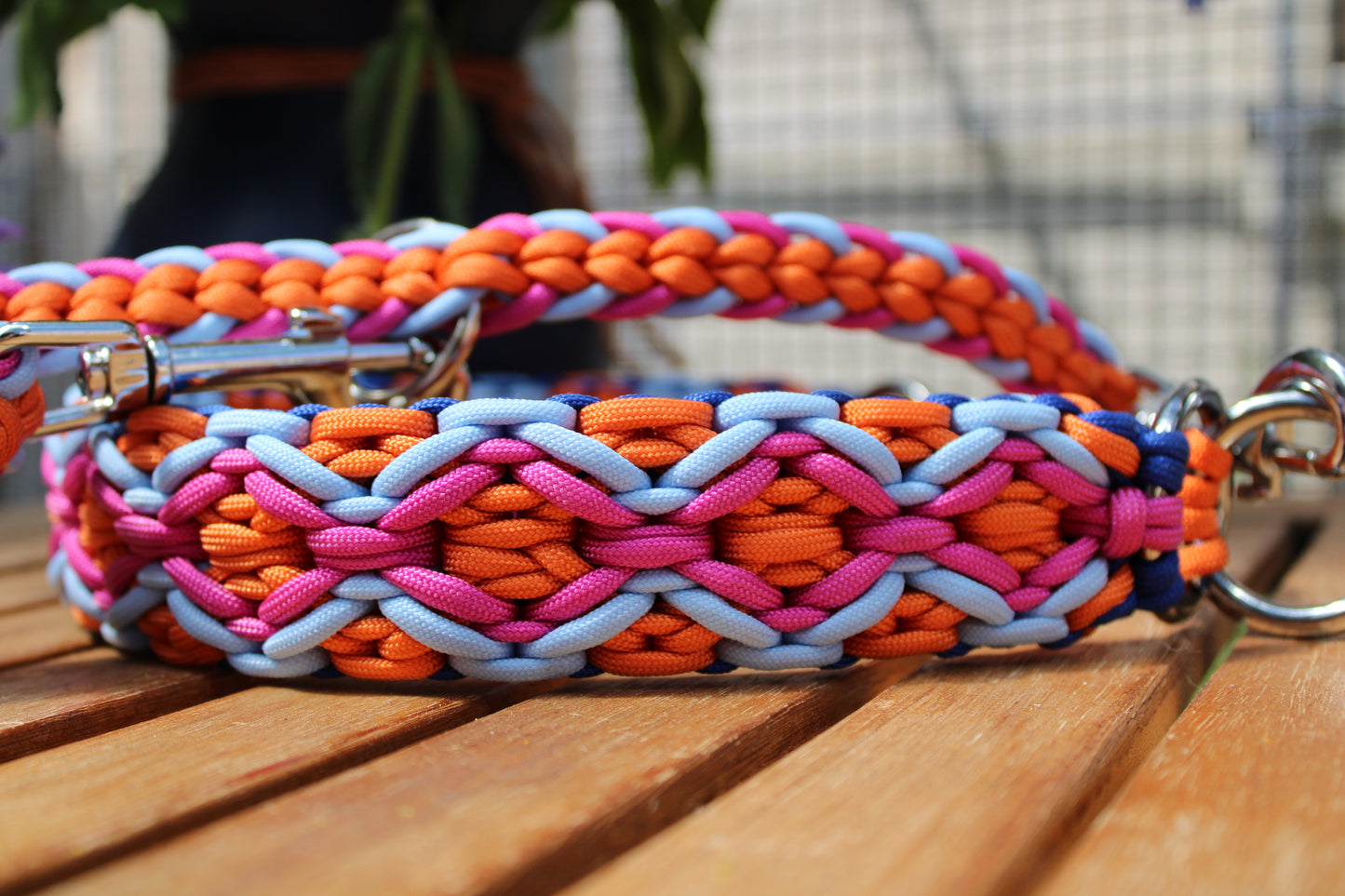 Hundehalsband "Summer Edition"