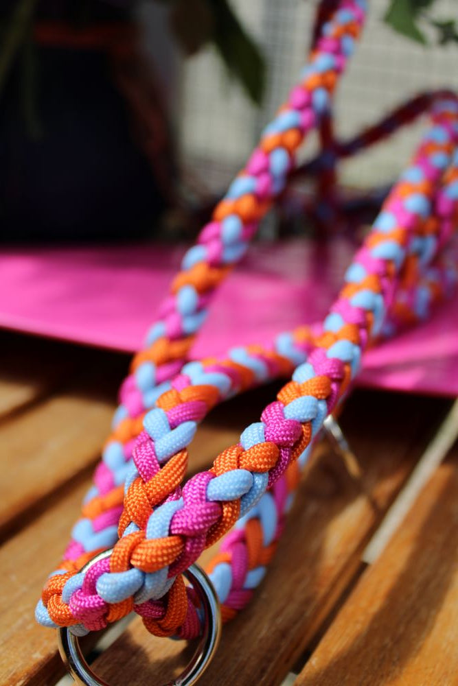 Hundeleine "Sommer-Edition"