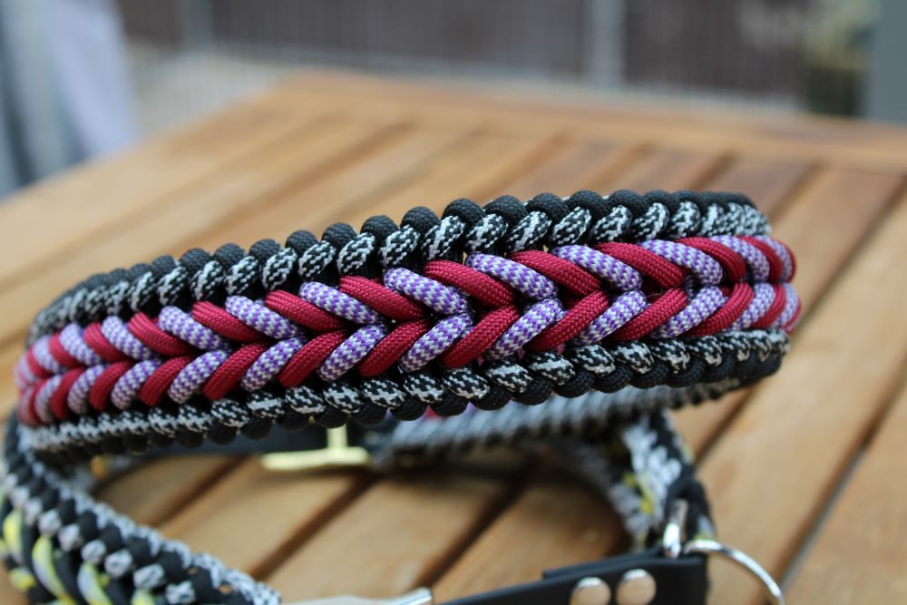Hundehalsband "Benno"