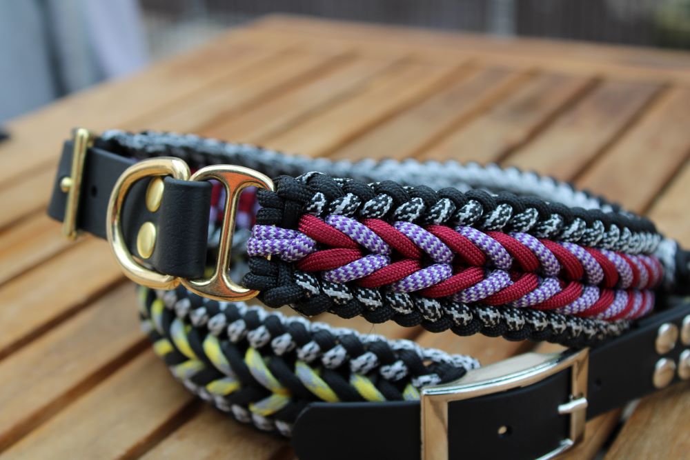 Hundehalsband "Benno"