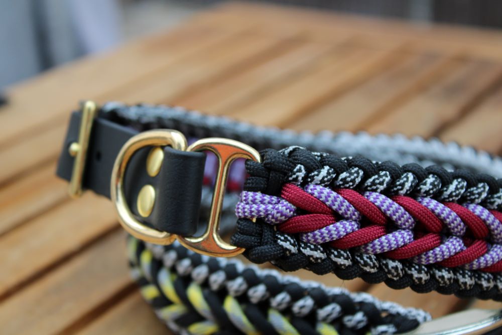 Hundehalsband "Benno"