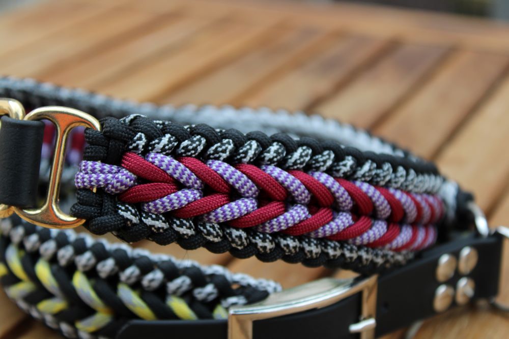 Hundehalsband "Benno"
