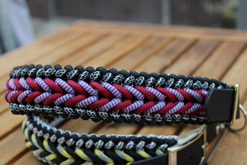 Hundehalsband "Benno"