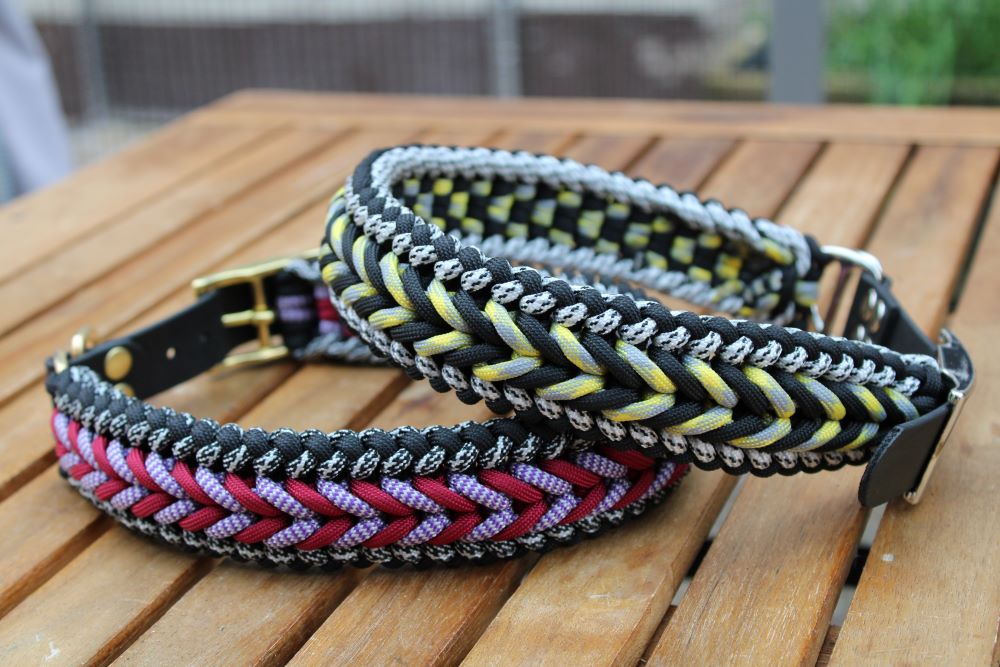 Hundehalsband "Benno"