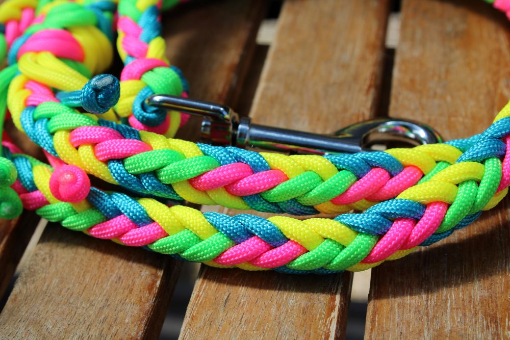 NEU! Hundeleine "Neon"