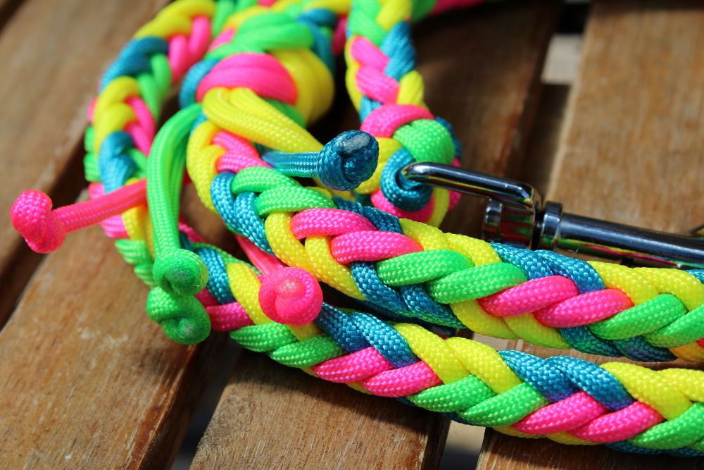 NEU! Hundeleine "Neon"
