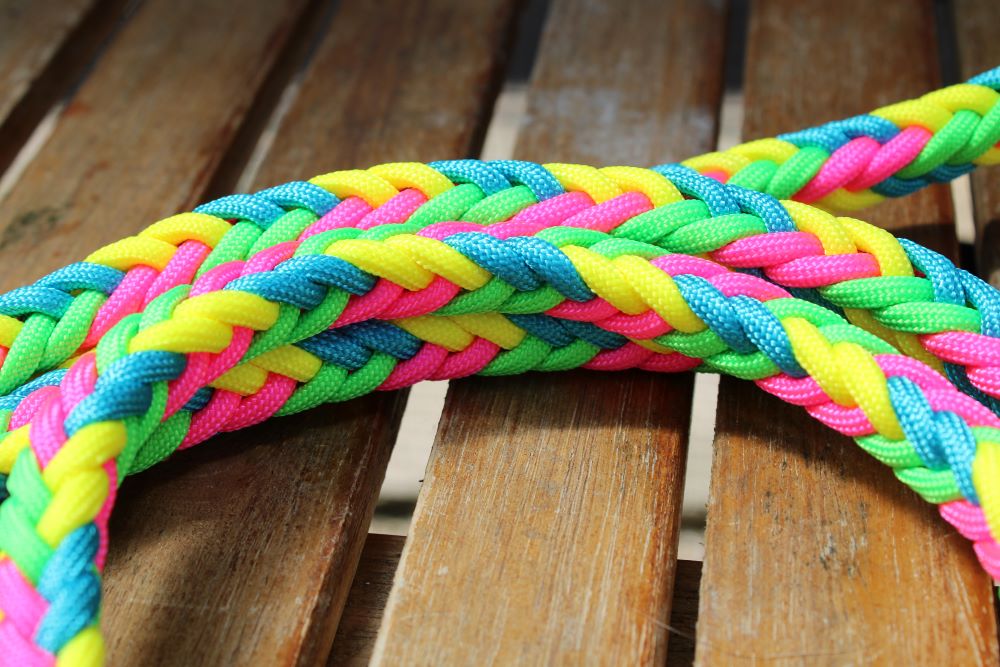 NEU! Hundeleine "Neon"