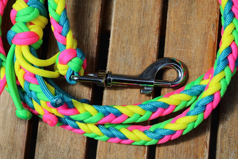 NEU! Hundeleine "Neon"