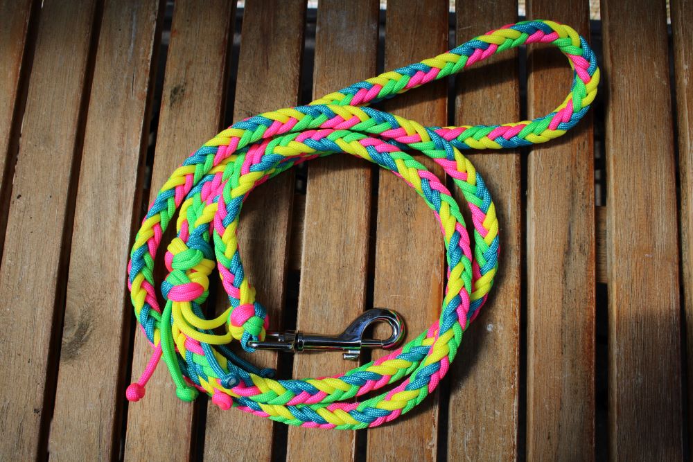NEU! Hundeleine "Neon"