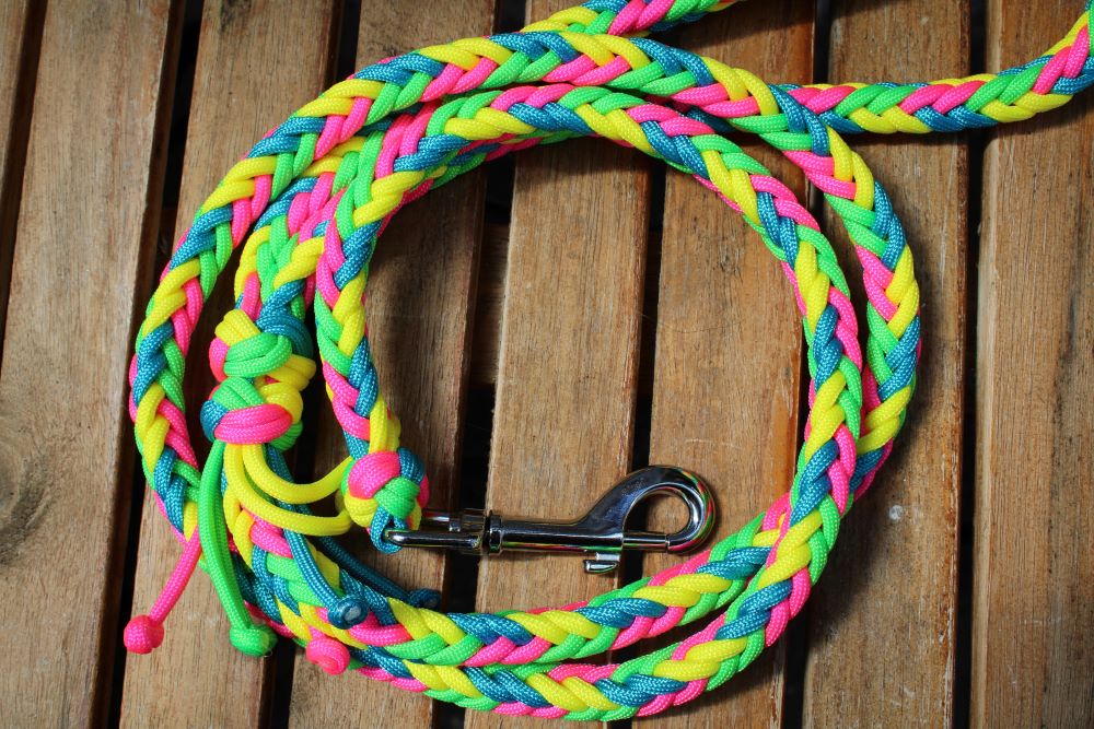 NEU! Hundeleine "Neon"
