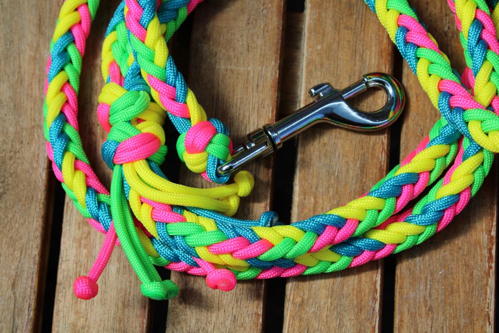 NEU! Hundeleine "Neon"