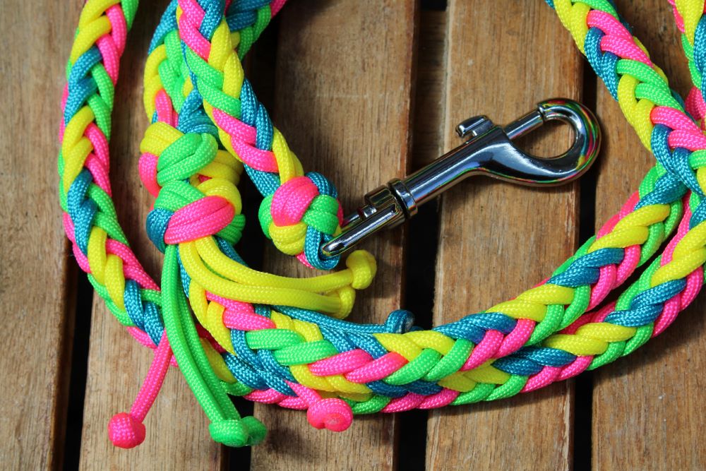 NEU! Hundeleine "Neon"