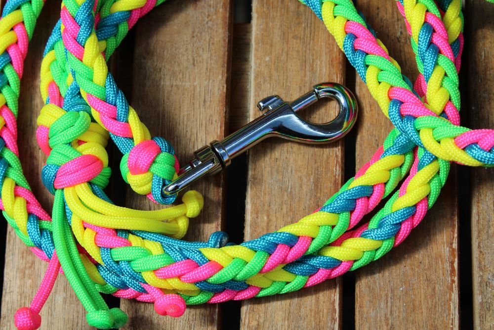 NEU! Hundeleine "Neon"