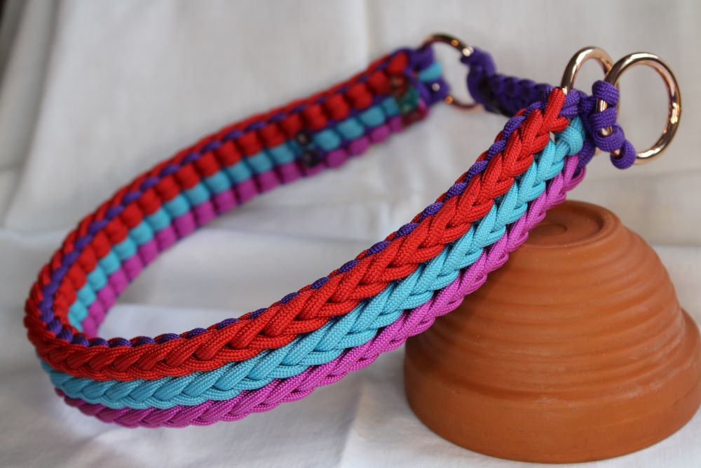 Hundehalsband "Fantastic"
