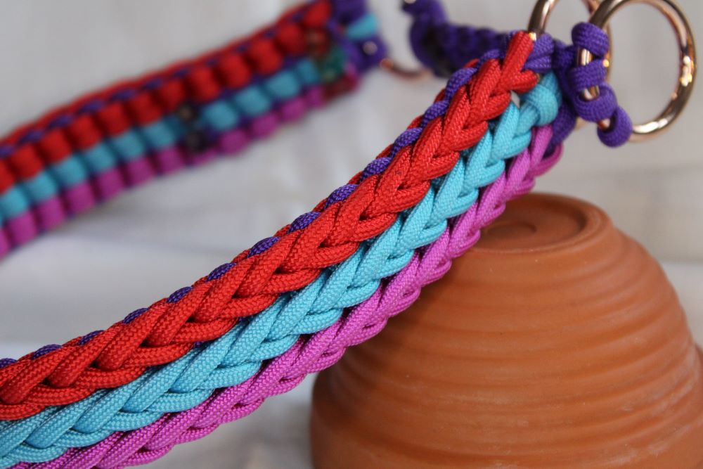 Hundehalsband "Fantastic"