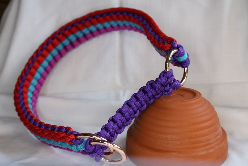 Hundehalsband "Fantastic"