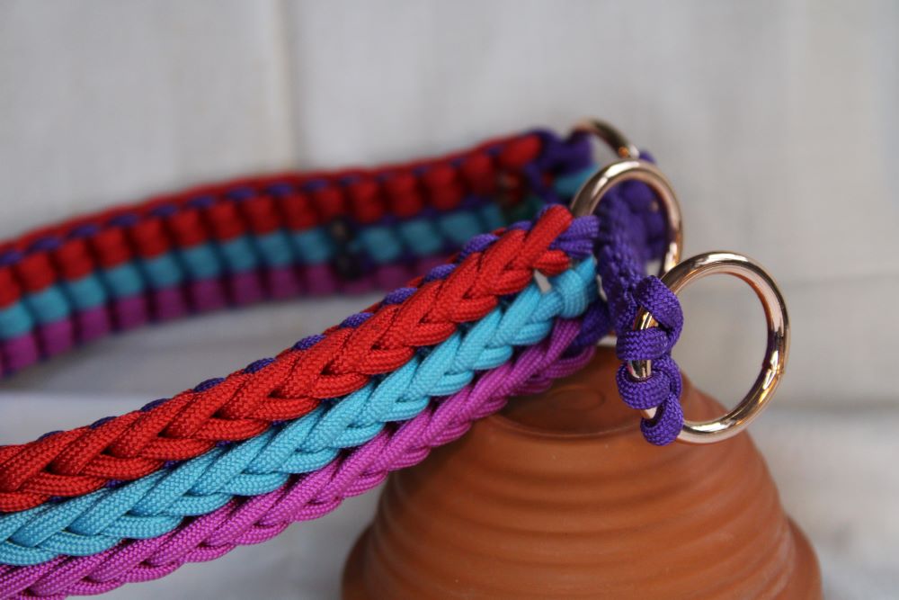 Hundehalsband "Fantastic"