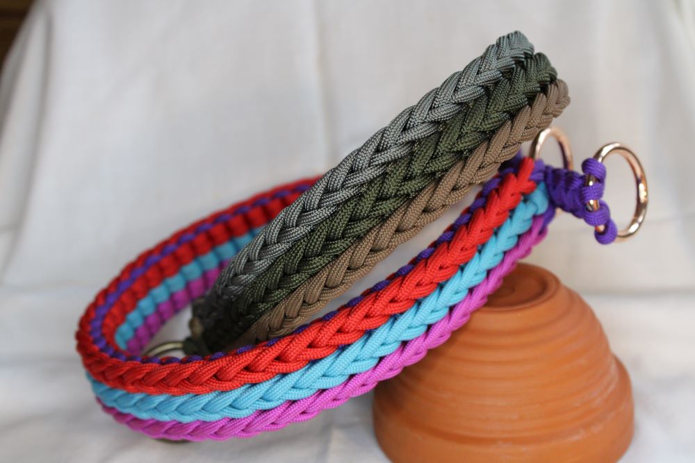 Hundehalsband "Fantastic"