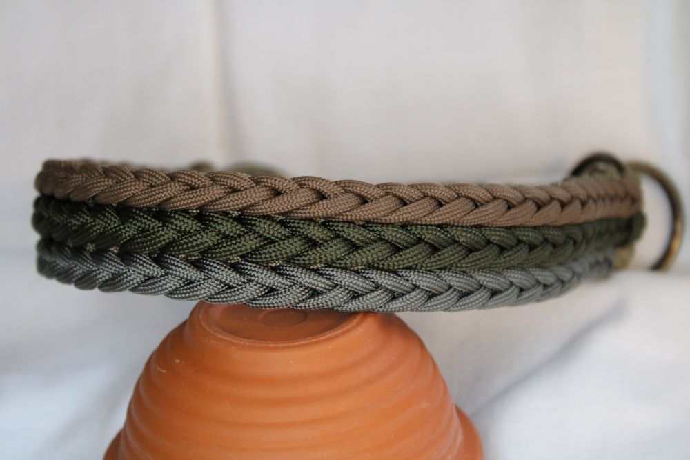 Hundehalsband "Fantastic"