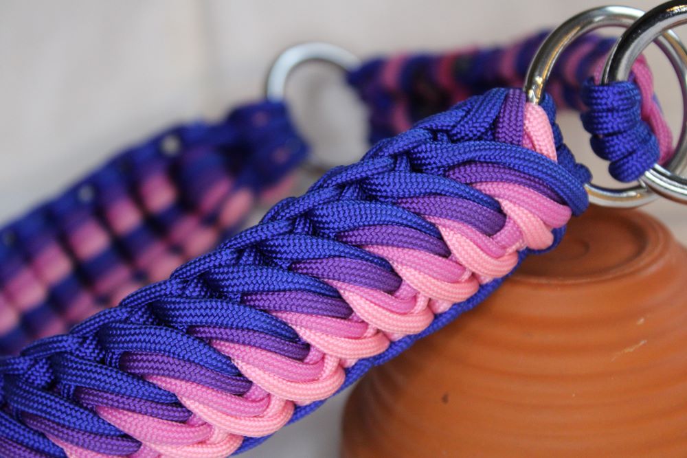 Hundehalsband "Swirl"