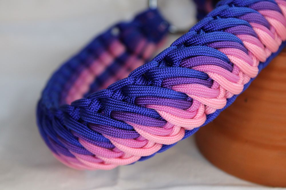 Hundehalsband "Swirl"