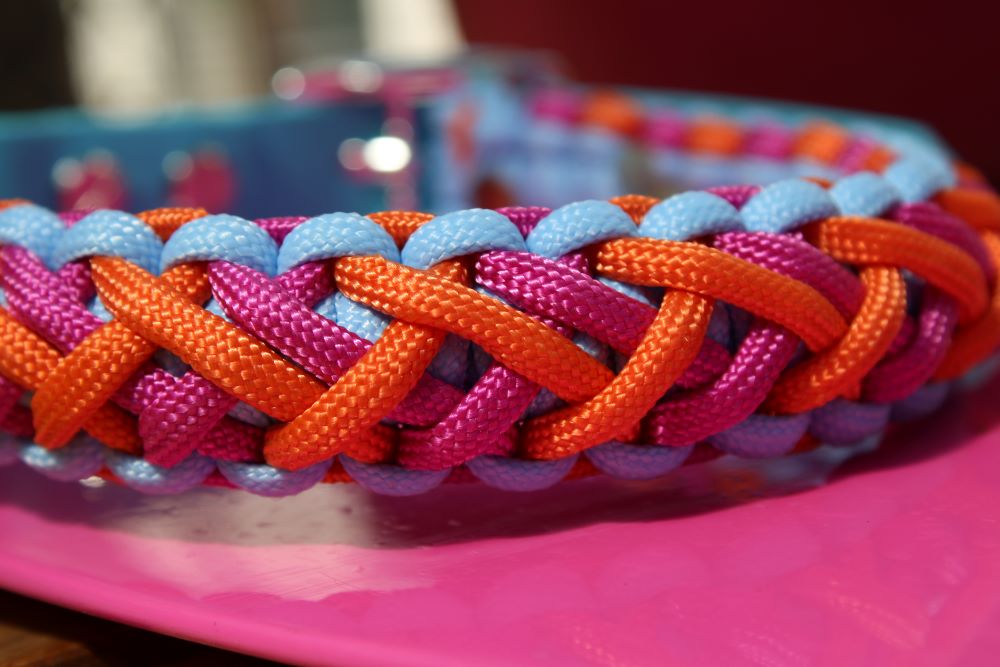 Hundehalsband Mini "Sommer Edition
