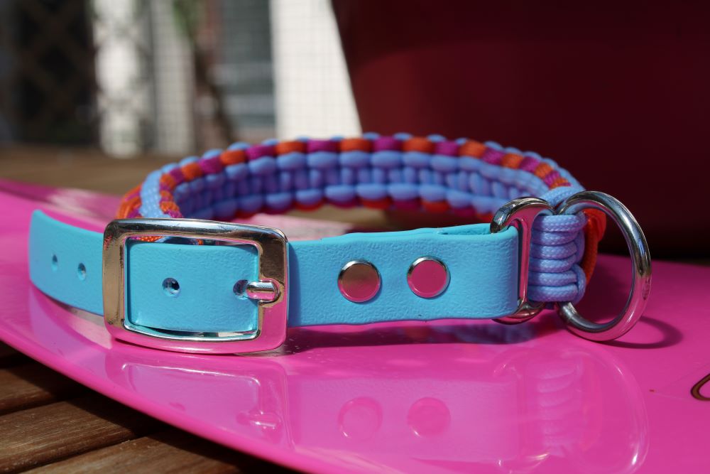 Hundehalsband Mini "Sommer Edition