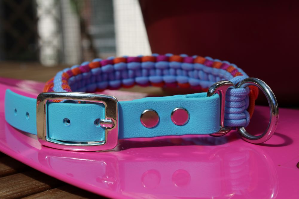 Hundehalsband Mini "Sommer Edition