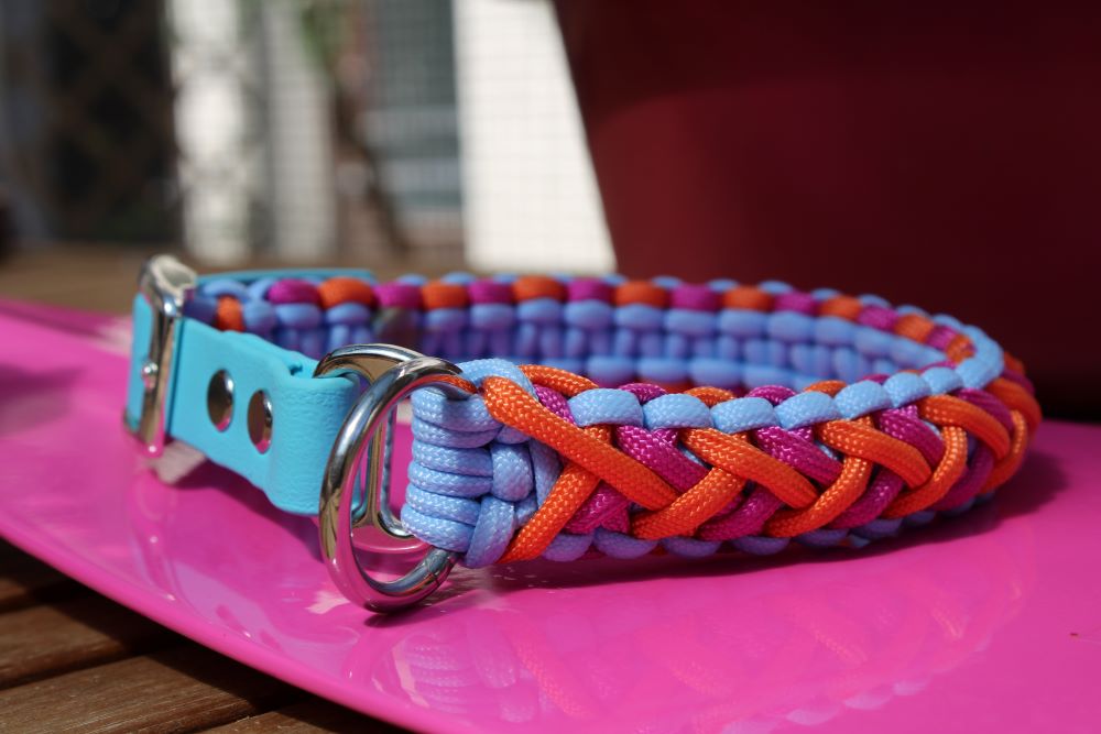 Hundehalsband Mini "Sommer Edition