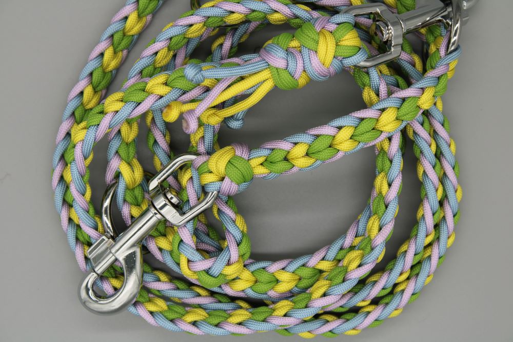 Hundeleine "Frühling"