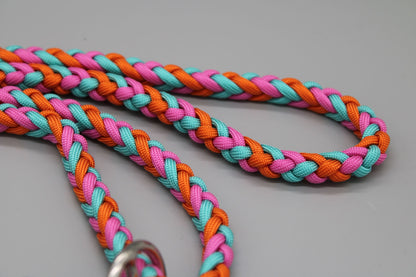 Hundeleine "Midi Bunt"