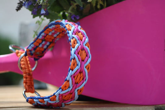 Hundehalsband "Summer Edition"