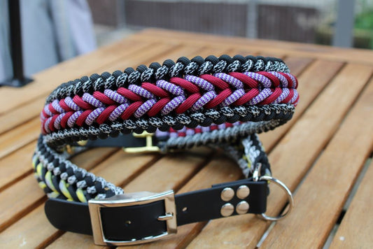 Hundehalsband "Benno"