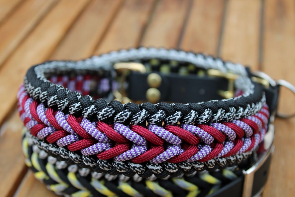 Hundehalsband "Benno"