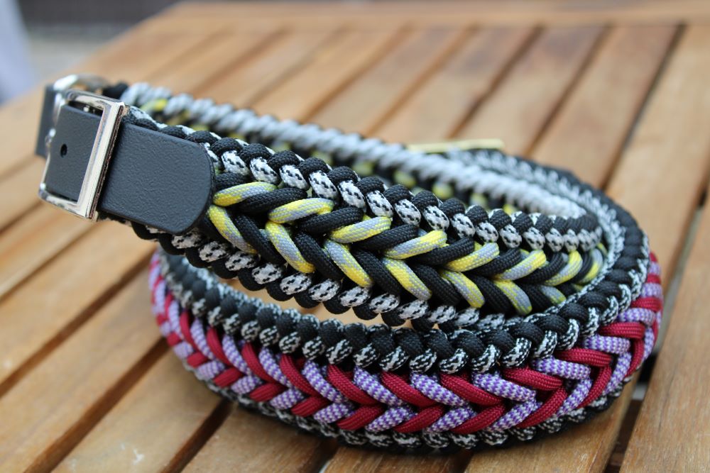 Hundehalsband "Benno"