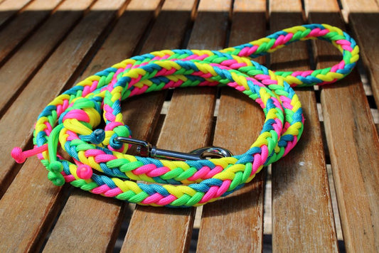 NEU! Hundeleine "Neon"