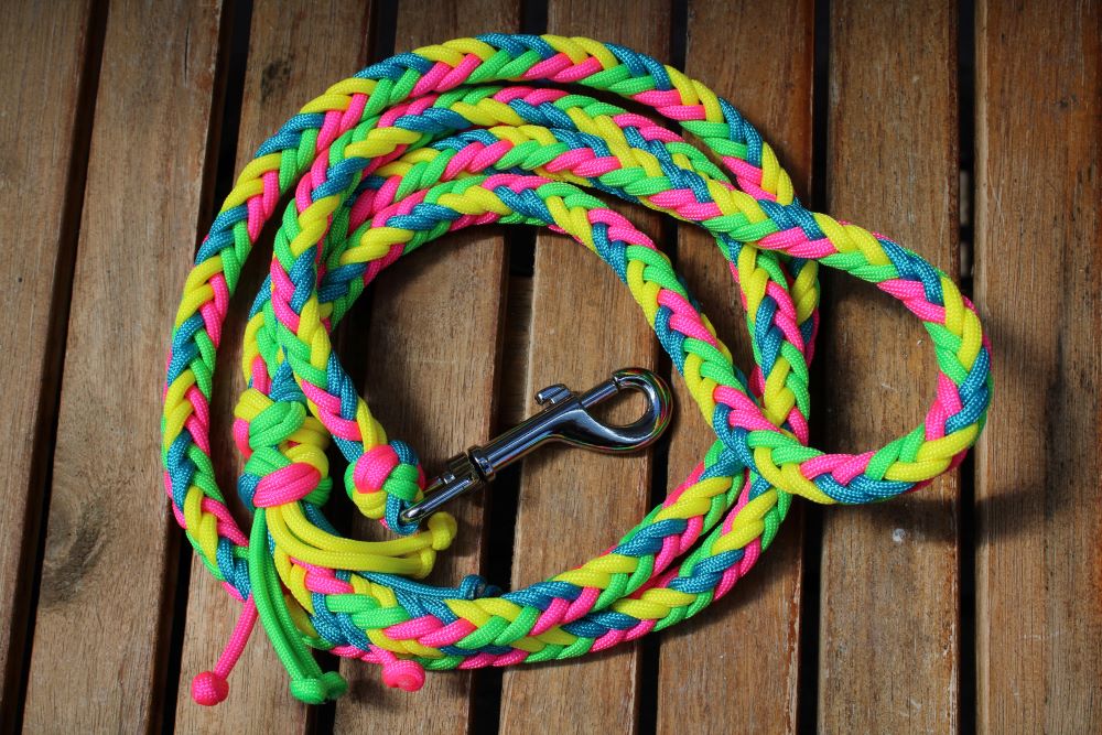 NEU! Hundeleine "Neon"
