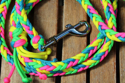 NEU! Hundeleine "Neon"