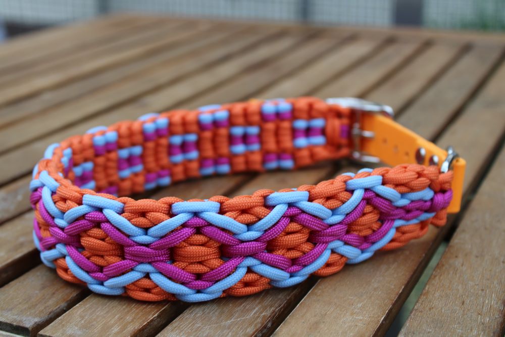 Hundehalsband "Summer Edition"