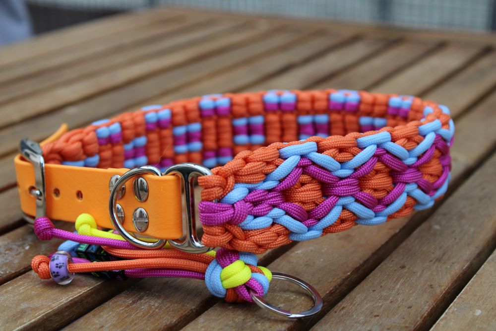 Hundehalsband "Summer Edition"