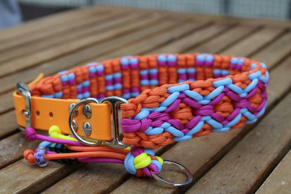 Hundehalsband "Summer Edition"