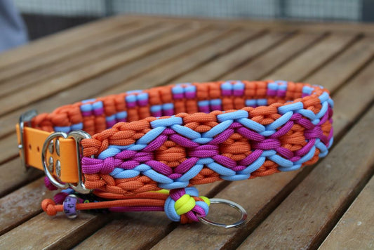 Hundehalsband "Summer Edition"
