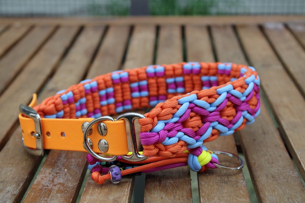 Hundehalsband "Summer Edition"